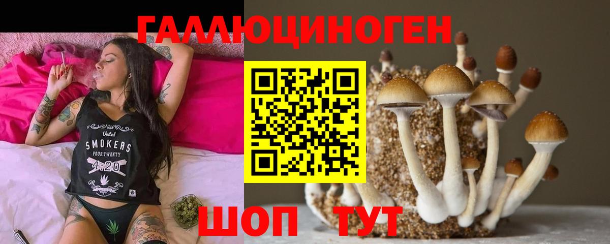 Галлюциногенные грибы Psilocybine cubensis  Вход с VPN  Воткинск  Галлюциногенные грибы прущие грибы 
